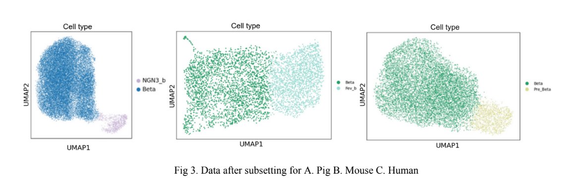 UMAP plots showing cell type subsetting for Pig, Mouse, and Human